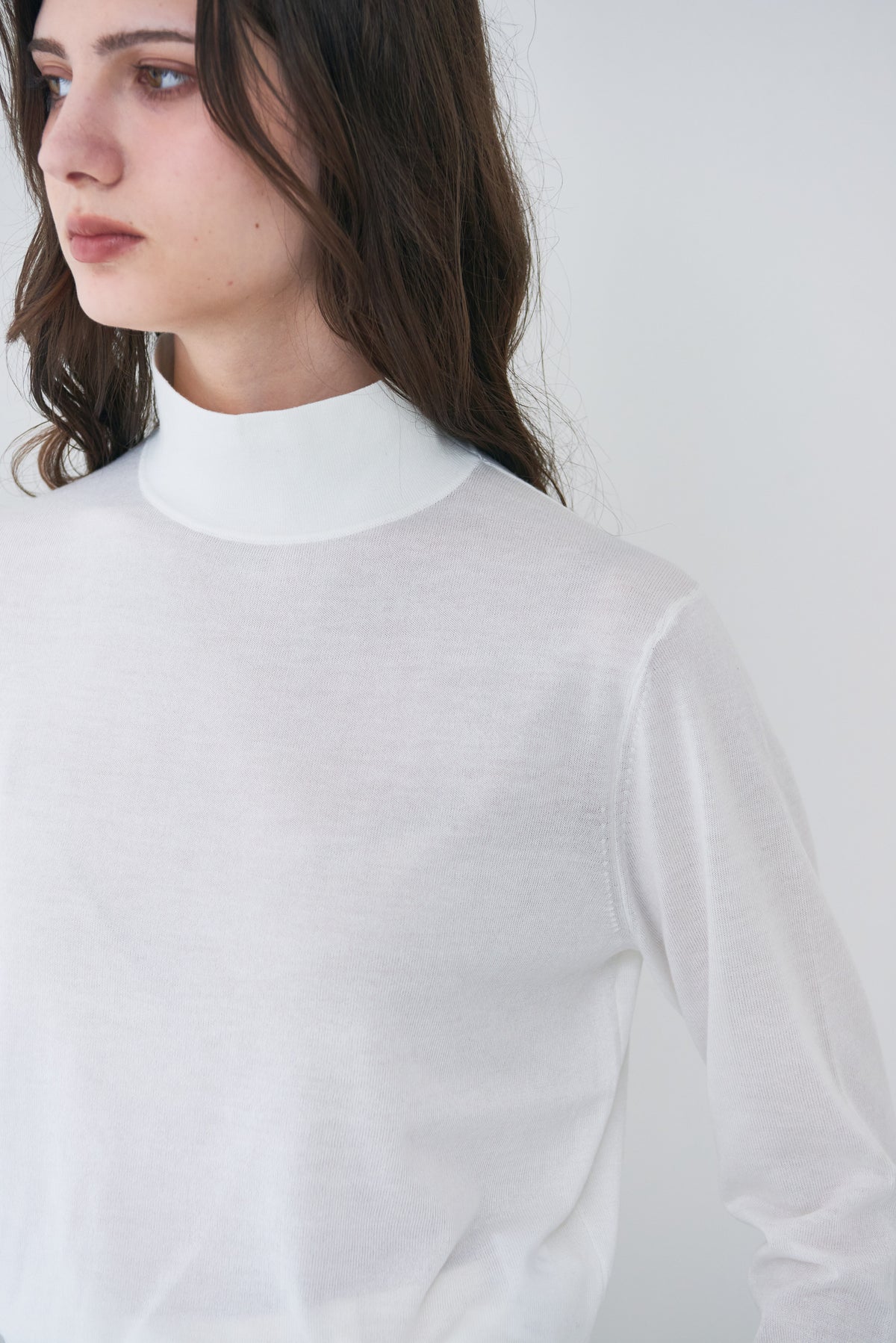 Sheer High Neck Knit
