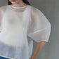 Re order//Sheer Sculpture Tops