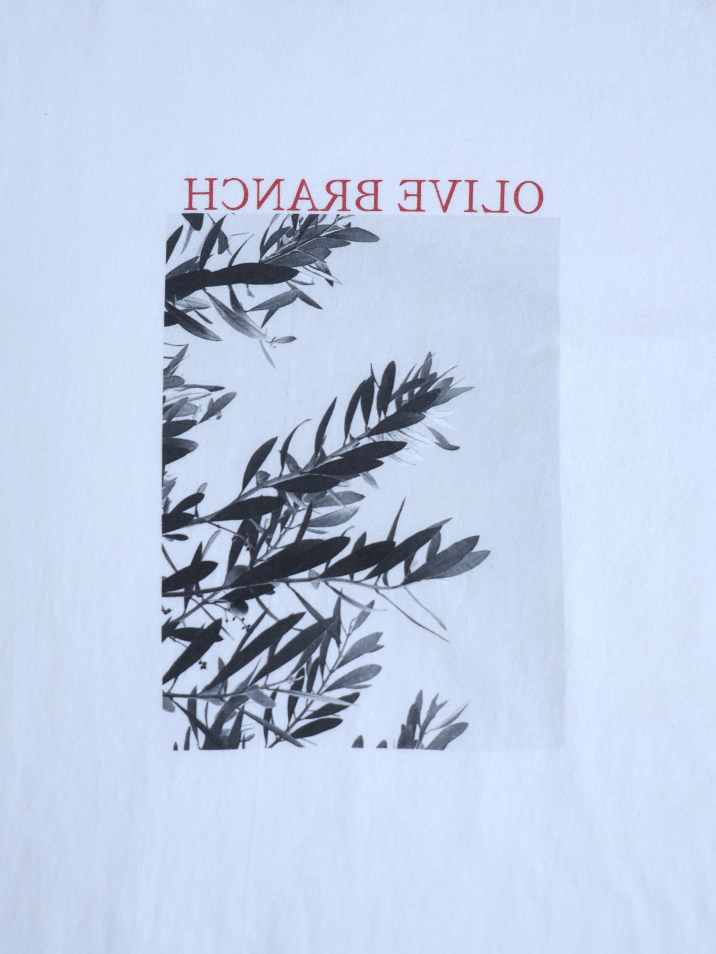 Boyfriend Tee (Olive blanch)
