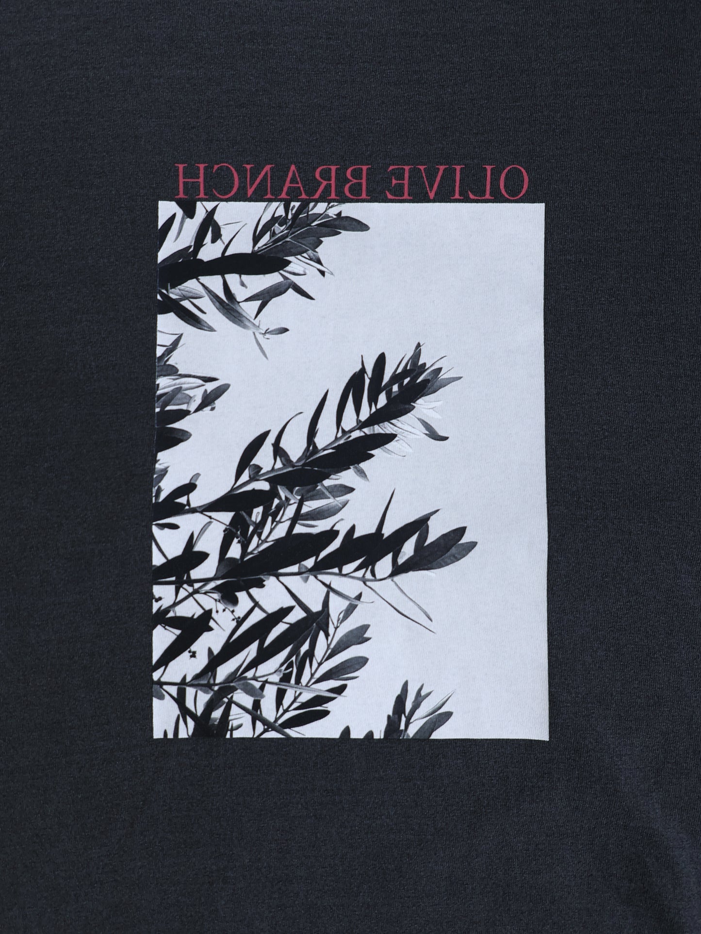 Boyfriend Tee (Olive blanch)