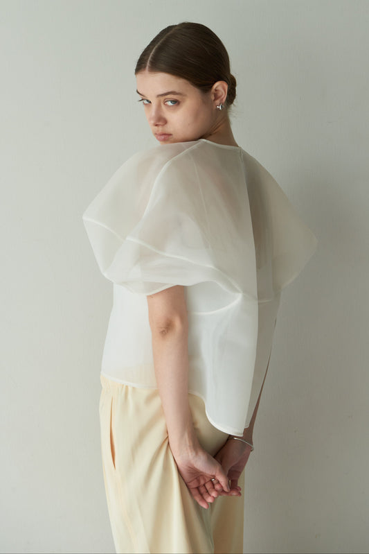 Sheer Sculpture Tops