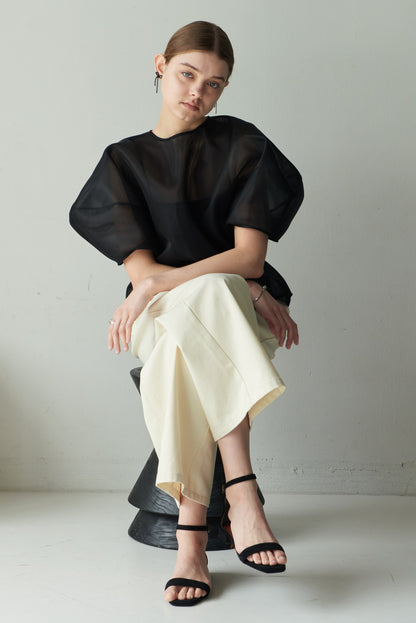 Sheer Sculpture Tops