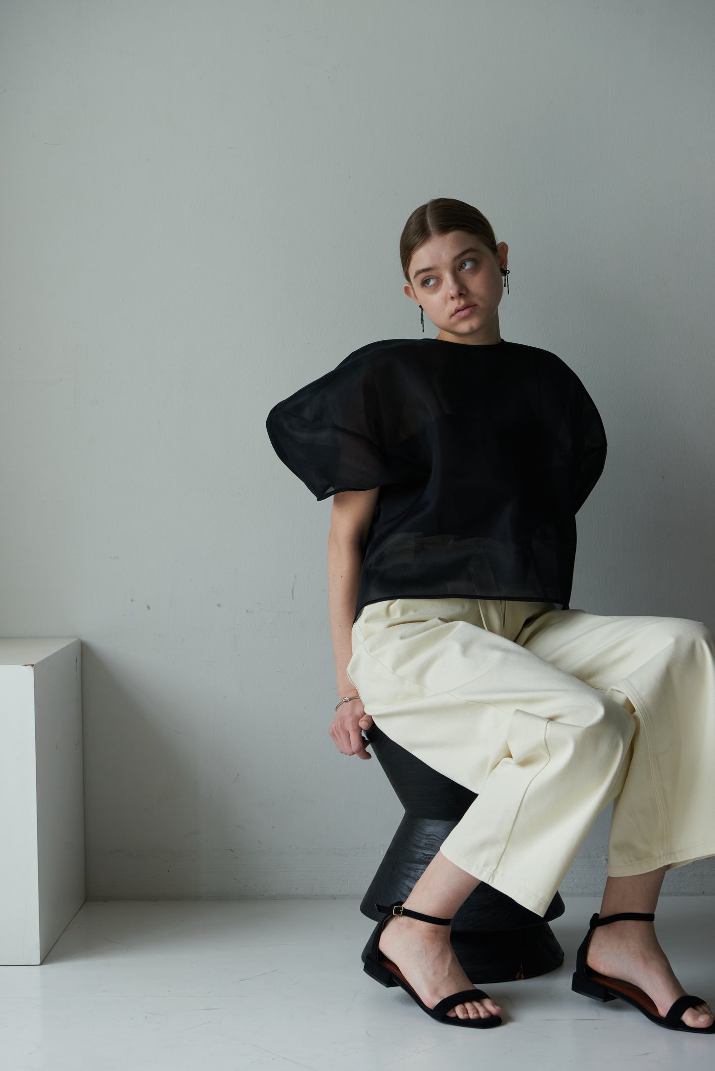 【PRE ORDER】Sheer Sculpture Tops